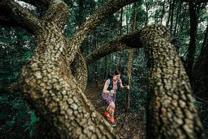 BIB: 
                            <button type="button" onclick="openModal(25393083)" class="btn btn-primary btn-sm float-right btn-popup" data-toggle="modal" data-target=".modal-high-quality">
                        <i class="fas fa-shopping-cart"></i> Add to Cart
                    </button>
                                            <button type="button" onclick="isThisMe(25393083, true)" class="btn btn-success btn-sm float-right btn-popup btn-isme hidden" data-toggle="tooltip" data-placement="bottom" title="นี่คือรูปของคุณใช่ไหม คลิกที่นี่เพื่อเอาเข้าอัลบั้ม">
                        <i class="fas fa-plus"></i> Add to album
                    </button>
                    <button type="button" onclick="isThisMe(25393083, false)" class="btn btn-warning btn-sm float-right btn-popup btn-isnotme hidden">
                        <i class="fas fa-ban"></i> Remove from album
                    </button>